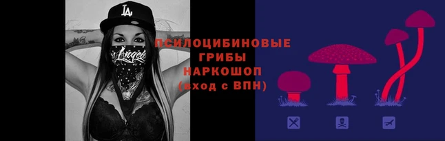 мефедрон мука Новодвинск