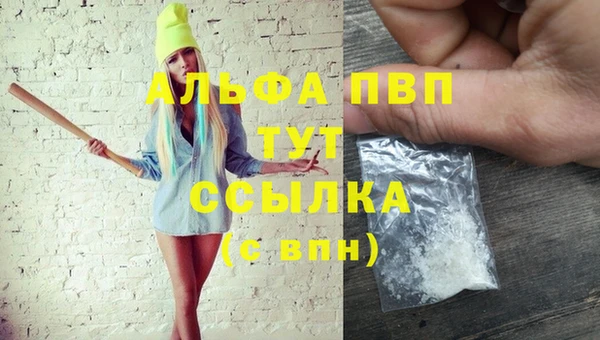 амф Новокубанск