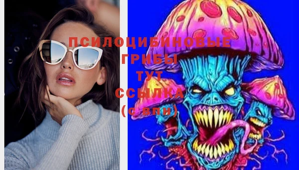 амф Новокубанск