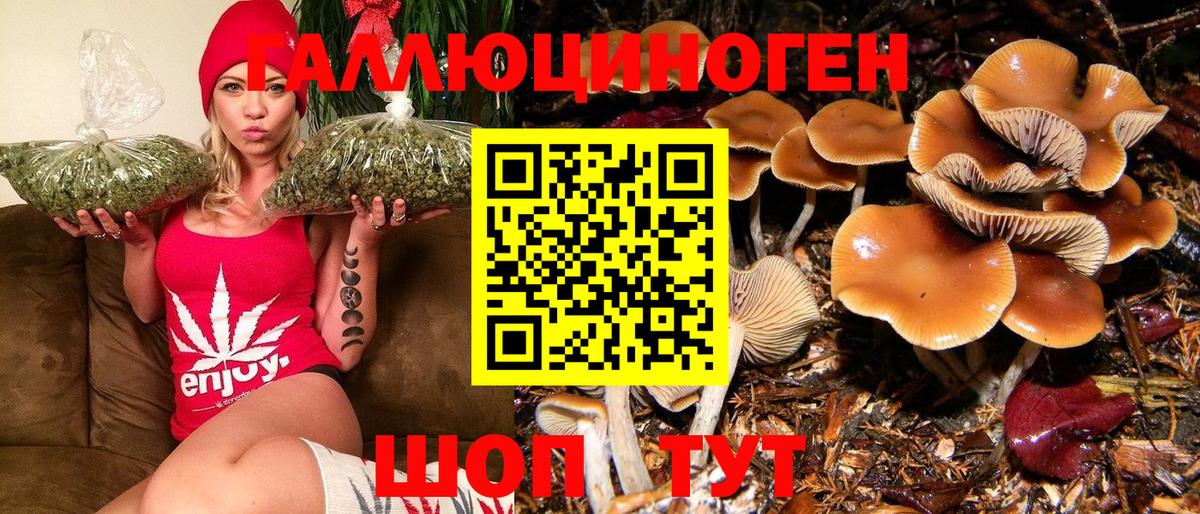 Галлюциногенные грибы мухоморы Балаково