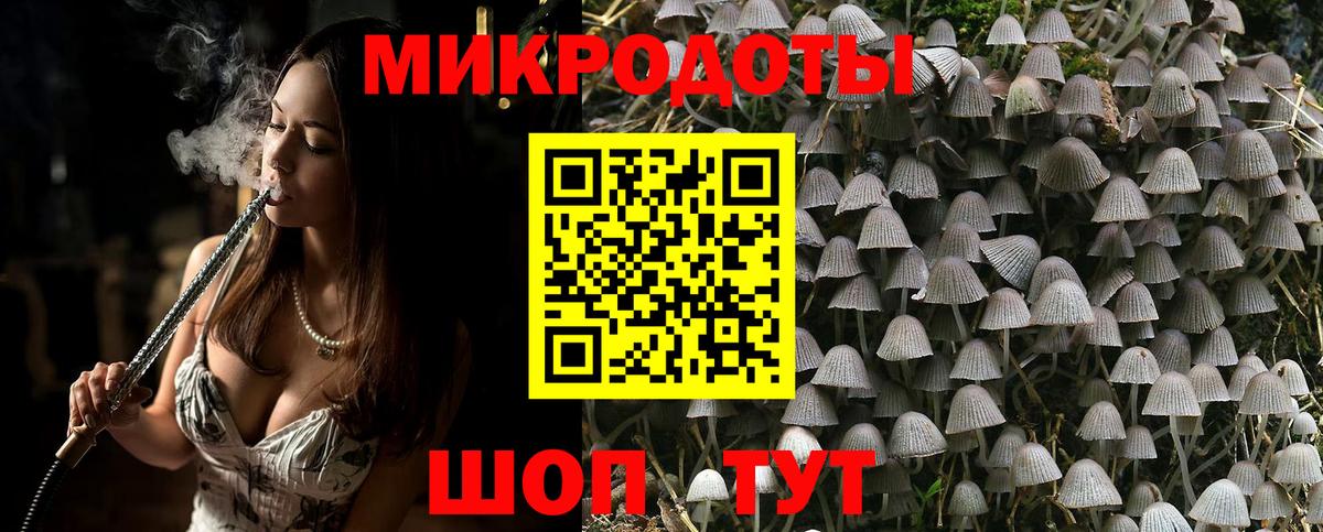 Галлюциногенные грибы Cubensis  Вход с VPN  Балаково  Псилоцибиновые грибы GOLDEN TEACHER 